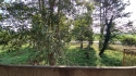 0_6024016_683912.jpg